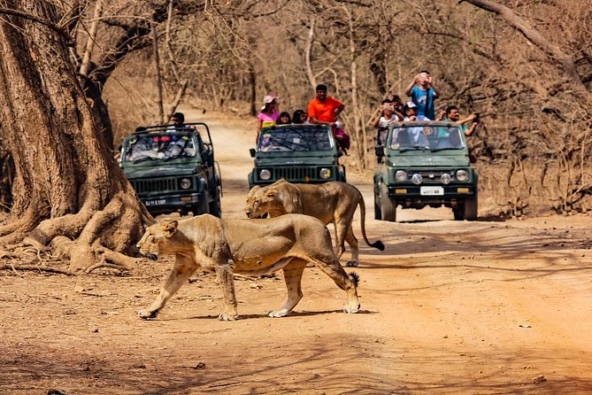 jeep safari parsili