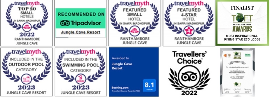 award winning resort ranthambore