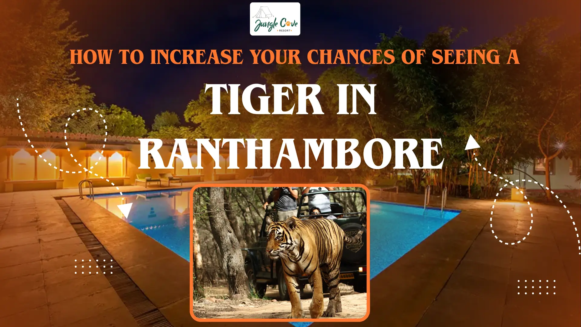 How to Increase Your Chances of Seeing a Tiger in Ranthambore