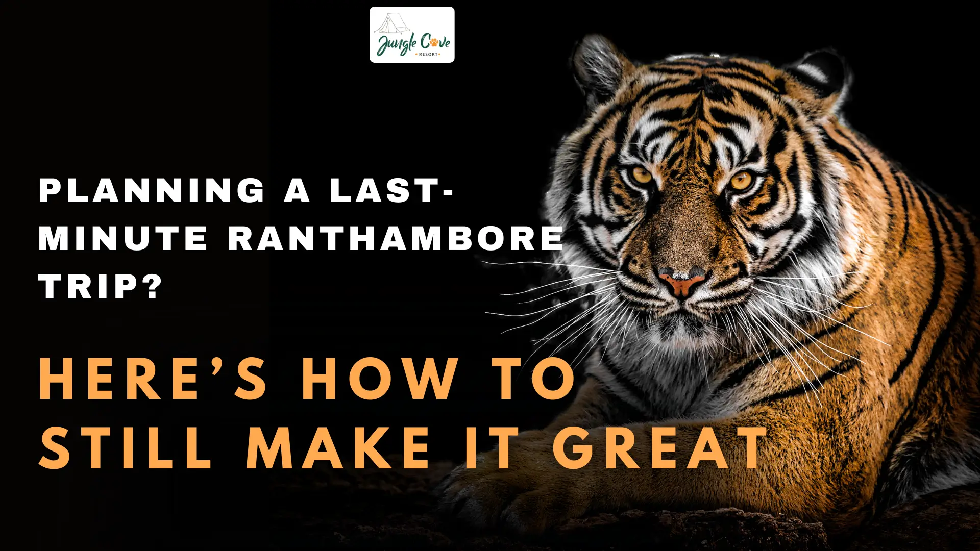 Planning a Last-Minute Ranthambore Trip? Here’s How to Still Make It Great