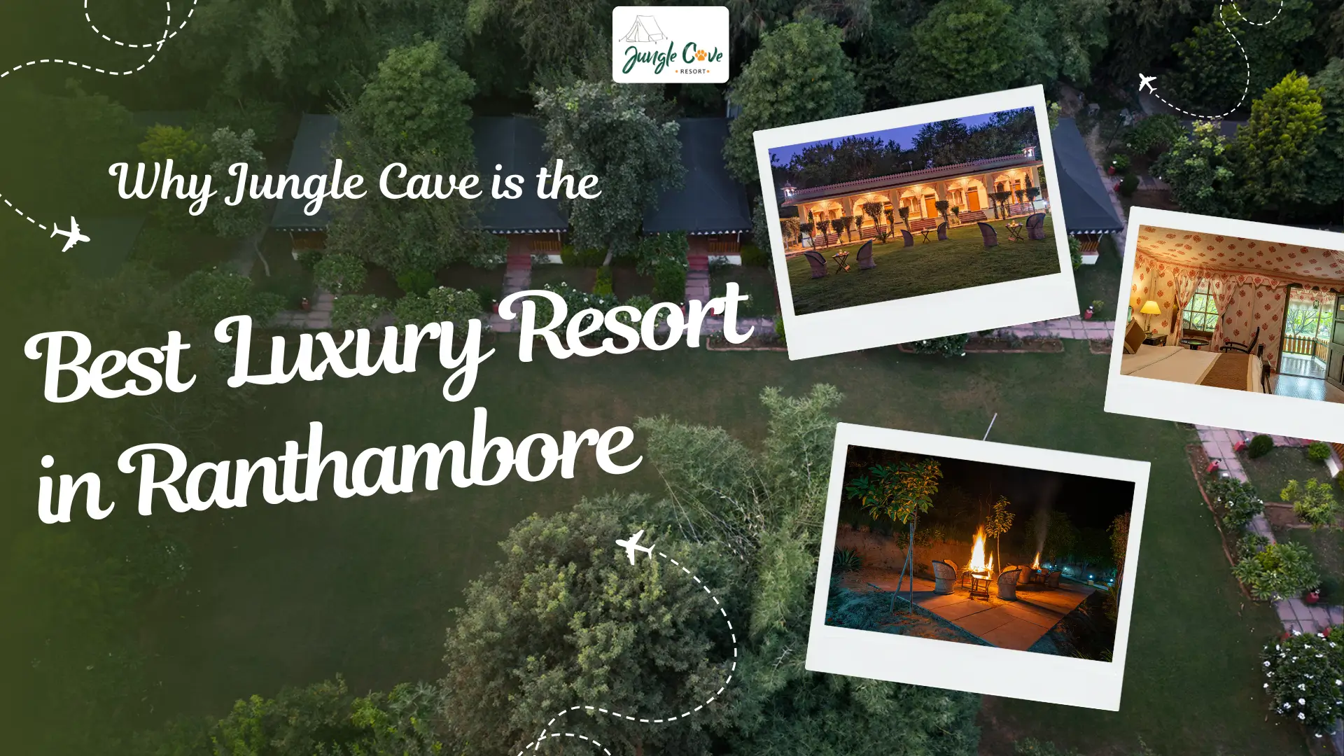 Why Jungle Cave is the Best Luxury Resort in Ranthambore for Wildlife Lovers
